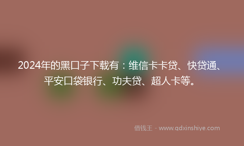 2024年的黑口子下载有：维信卡卡贷、快贷通、平安口袋银行、功夫贷、超人卡等。