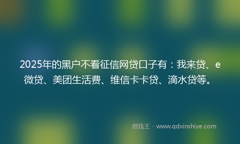 2025年的黑户不看征信网贷口子有：我来贷、e微贷、美团生活费、维信卡卡贷、滴水贷等。