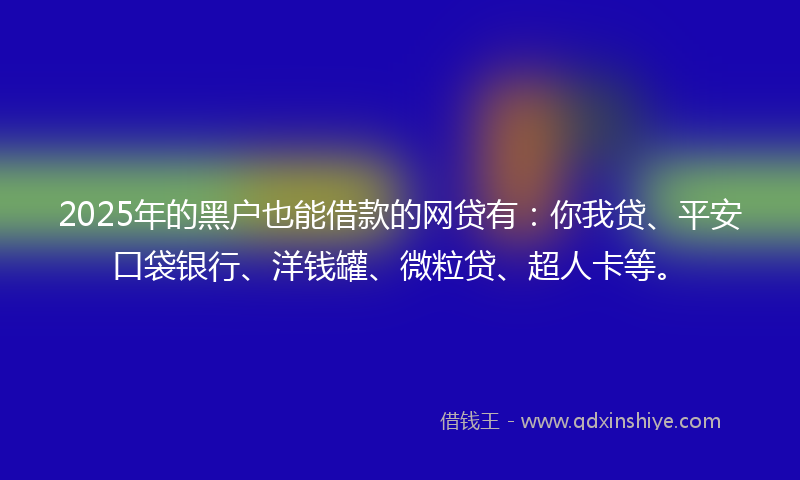 2025年的黑户也能借款的网贷有：你我贷、平安口袋银行、洋钱罐、微粒贷、超人卡等。
