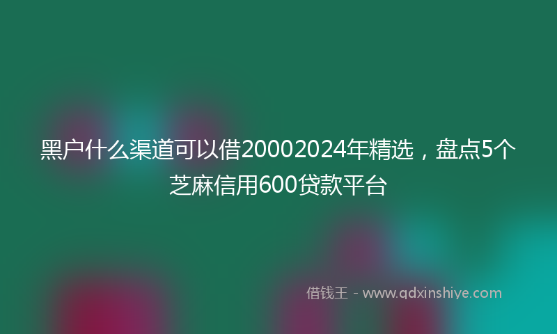 黑户什么渠道可以借20002024年精选，盘点5个芝麻信用600贷款平台