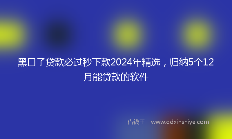 黑口子贷款必过秒下款2024年精选，归纳5个12月能贷款的软件