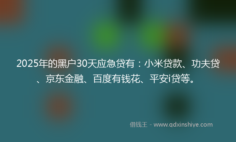 2025年的黑户30天应急贷有：小米贷款、功夫贷、京东金融、百度有钱花、平安i贷等。