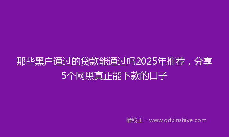 那些黑户通过的贷款能通过吗2025年推荐，分享5个网黑真正能下款的口子