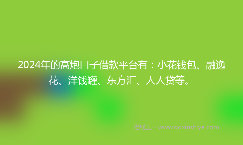 2024年的高炮口子借款平台有：小花钱包、融逸花、洋钱罐、东方汇、人人贷等。
