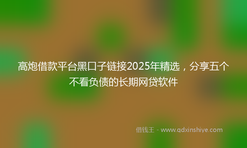 高炮借款平台黑口子链接2025年精选，分享五个不看负债的长期网贷软件