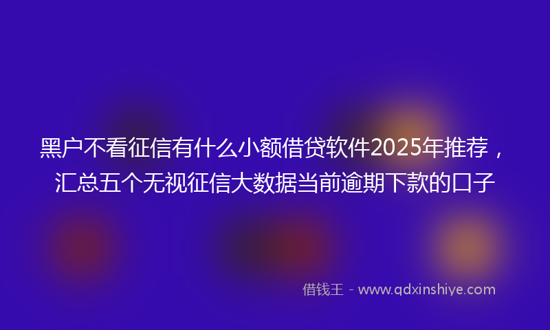 黑户不看征信有什么小额借贷软件2025年推荐，汇总五个无视征信大数据当前逾期下款的口子