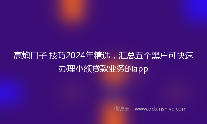 高炮口子 技巧2024年精选，汇总五个黑户可快速办理小额贷款业务的app