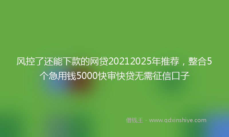 风控了还能下款的网贷20212025年推荐，整合5个急用钱5000快审快贷无需征信口子