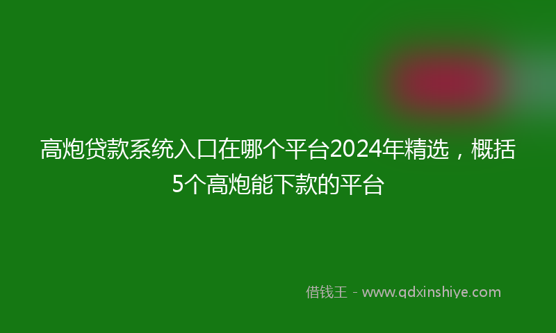 高炮贷款系统入口在哪个平台2024年精选，概括5个高炮能下款的平台