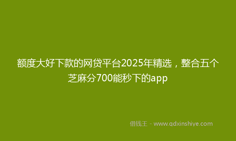 额度大好下款的网贷平台2025年精选，整合五个芝麻分700能秒下的app