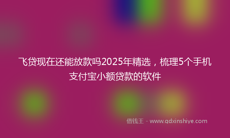 飞贷现在还能放款吗2025年精选，梳理5个手机支付宝小额贷款的软件
