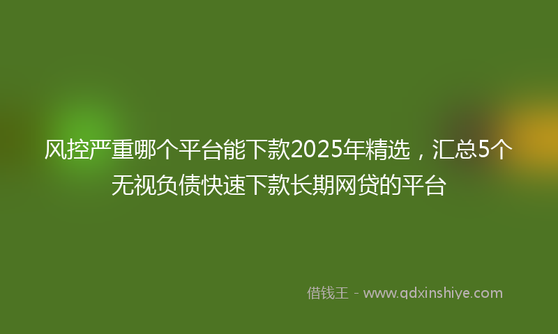 风控严重哪个平台能下款2025年精选，汇总5个无视负债快速下款长期网贷的平台