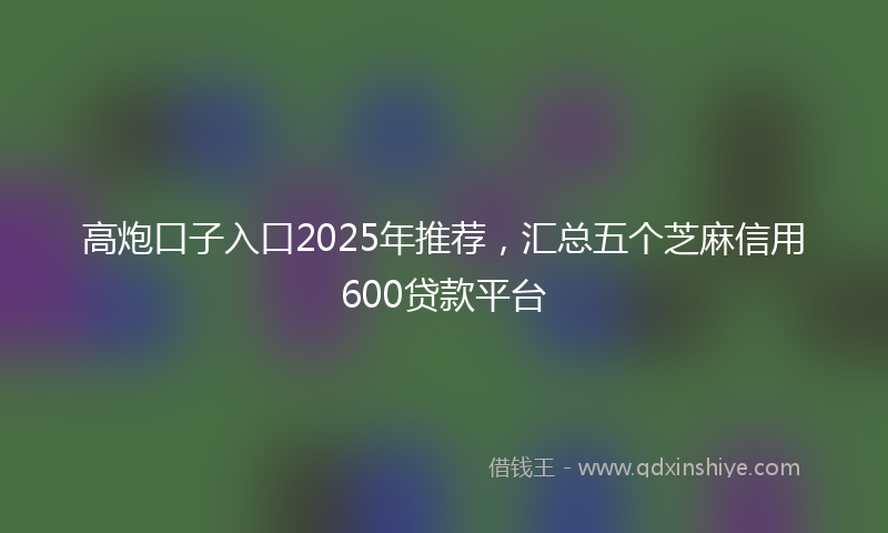 高炮口子入口2025年推荐，汇总五个芝麻信用600贷款平台