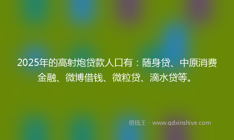2025年的高射炮贷款人口有：随身贷、中原消费金融、微博借钱、微粒贷、滴水贷等。