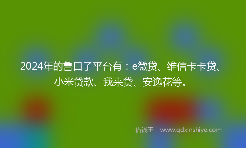 2024年的鲁口子平台有：e微贷、维信卡卡贷、小米贷款、我来贷、安逸花等。