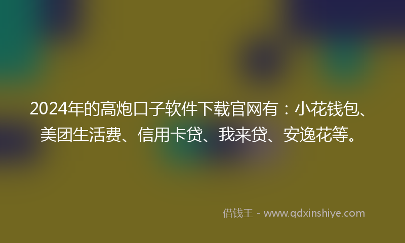 2024年的高炮口子软件下载官网有：小花钱包、美团生活费、信用卡贷、我来贷、安逸花等。
