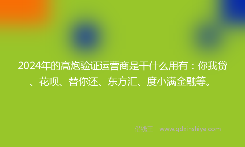 2024年的高炮验证运营商是干什么用有：你我贷、花呗、替你还、东方汇、度小满金融等。