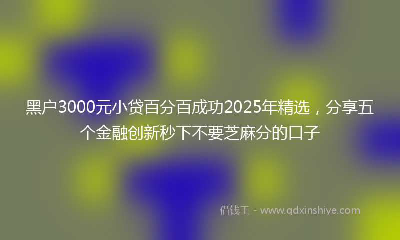 黑户3000元小贷百分百成功2025年精选，分享五个金融创新秒下不要芝麻分的口子