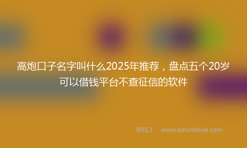 高炮口子名字叫什么2025年推荐，盘点五个20岁可以借钱平台不查征信的软件
