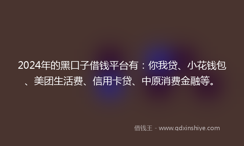 2024年的黑口子借钱平台有：你我贷、小花钱包、美团生活费、信用卡贷、中原消费金融等。