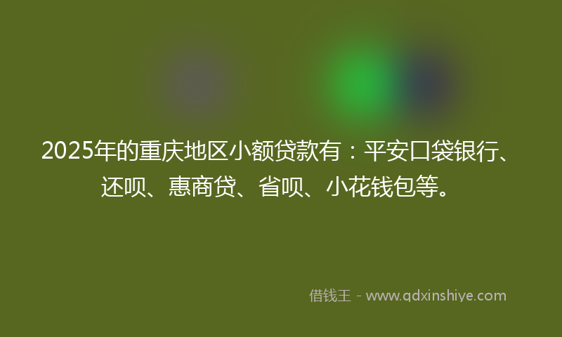 2025年的重庆地区小额贷款有：平安口袋银行、还呗、惠商贷、省呗、小花钱包等。