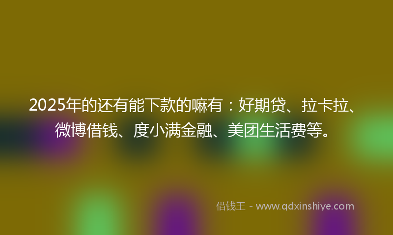 2025年的还有能下款的嘛有：好期贷、拉卡拉、微博借钱、度小满金融、美团生活费等。