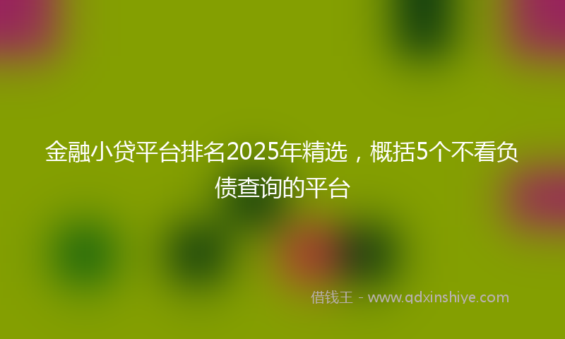 金融小贷平台排名2025年精选，概括5个不看负债查询的平台