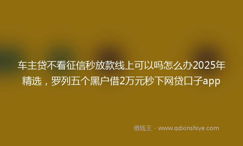 车主贷不看征信秒放款线上可以吗怎么办2025年精选，罗列五个黑户借2万元秒下网贷口子app