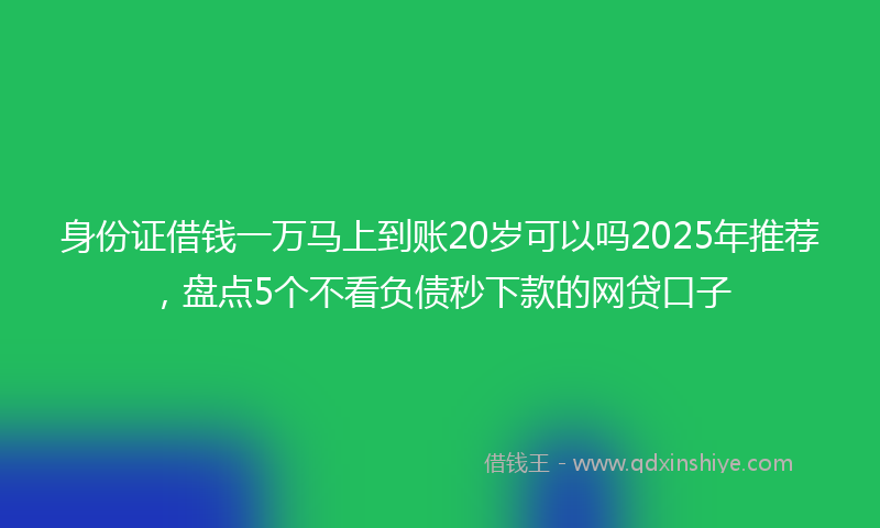 身份证借钱一万马上到账20岁可以吗2025年推荐，盘点5个不看负债秒下款的网贷口子