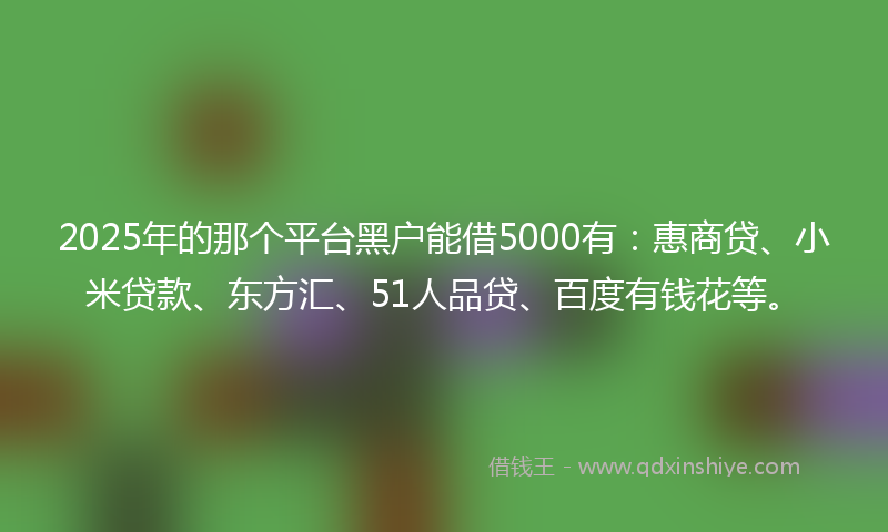 2025年的那个平台黑户能借5000有：惠商贷、小米贷款、东方汇、51人品贷、百度有钱花等。