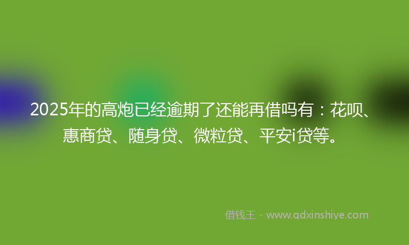2025年的高炮已经逾期了还能再借吗有：花呗、惠商贷、随身贷、微粒贷、平安i贷等。