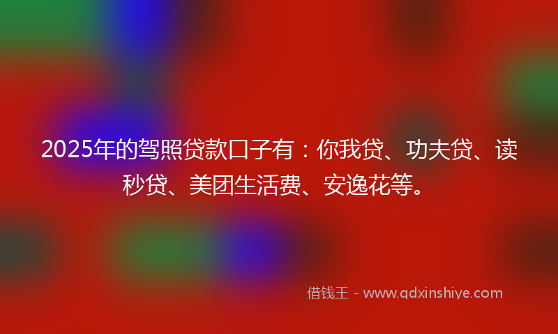 2025年的驾照贷款口子有：你我贷、功夫贷、读秒贷、美团生活费、安逸花等。
