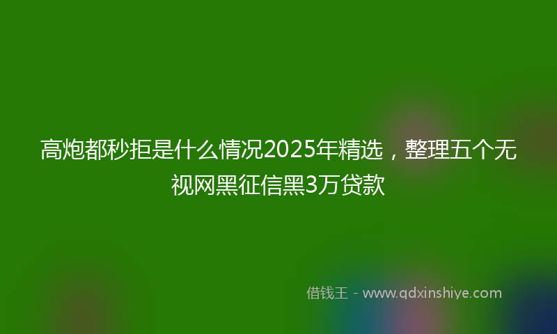 高炮都秒拒是什么情况2025年精选，整理五个无视网黑征信黑3万贷款