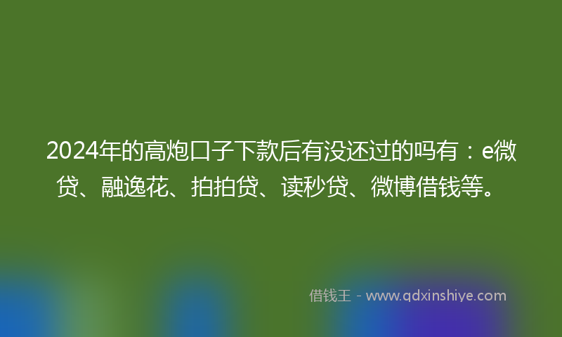 2024年的高炮口子下款后有没还过的吗有：e微贷、融逸花、拍拍贷、读秒贷、微博借钱等。