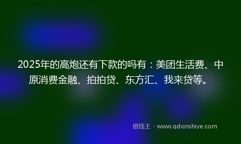 2025年的高炮还有下款的吗有：美团生活费、中原消费金融、拍拍贷、东方汇、我来贷等。