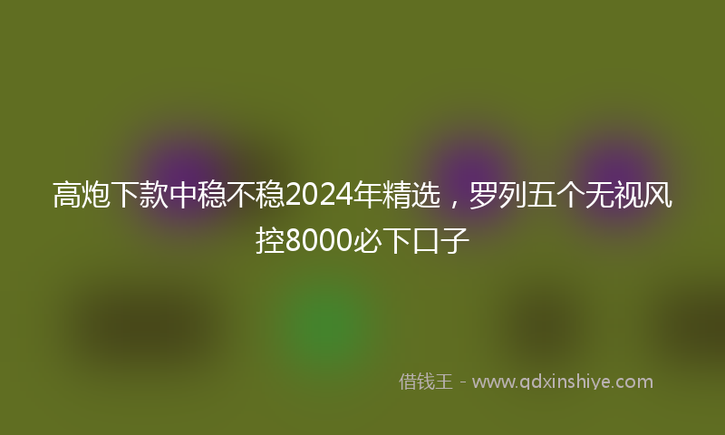高炮下款中稳不稳2024年精选，罗列五个无视风控8000必下口子