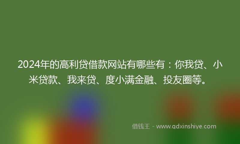 2024年的高利贷借款网站有哪些有：你我贷、小米贷款、我来贷、度小满金融、投友圈等。