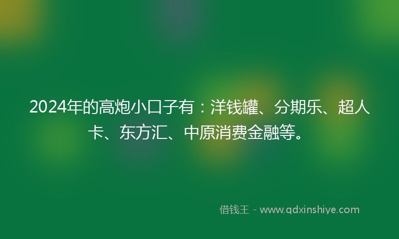 2024年的高炮小口子有：洋钱罐、分期乐、超人卡、东方汇、中原消费金融等。