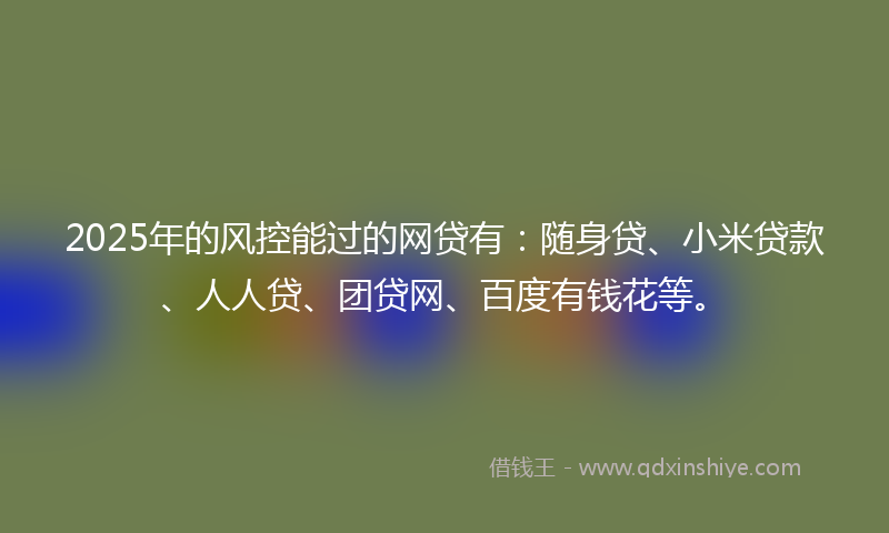 2025年的风控能过的网贷有：随身贷、小米贷款、人人贷、团贷网、百度有钱花等。