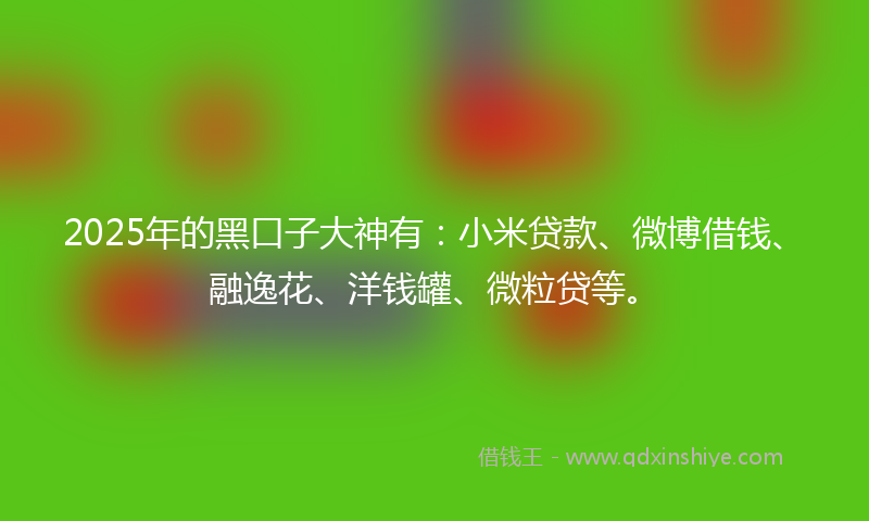 2025年的黑口子大神有：小米贷款、微博借钱、融逸花、洋钱罐、微粒贷等。