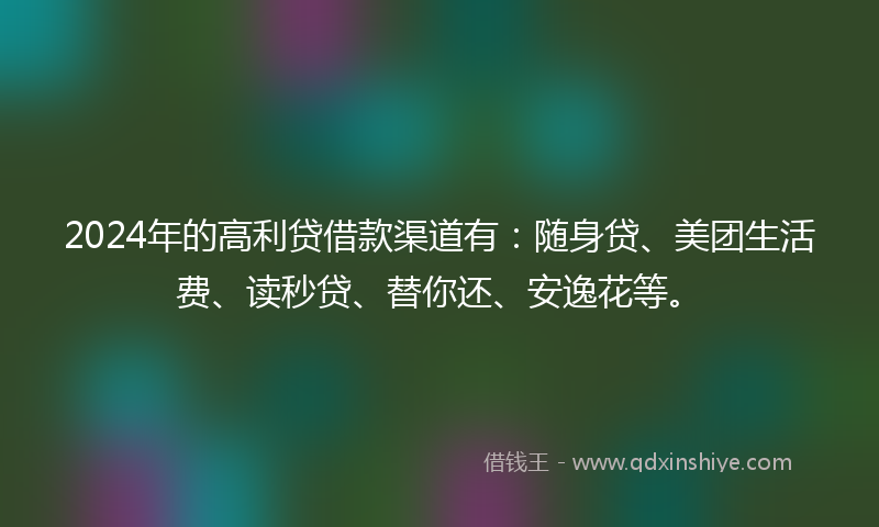 2024年的高利贷借款渠道有：随身贷、美团生活费、读秒贷、替你还、安逸花等。