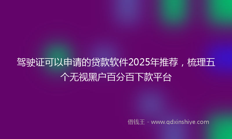 驾驶证可以申请的贷款软件2025年推荐，梳理五个无视黑户百分百下款平台