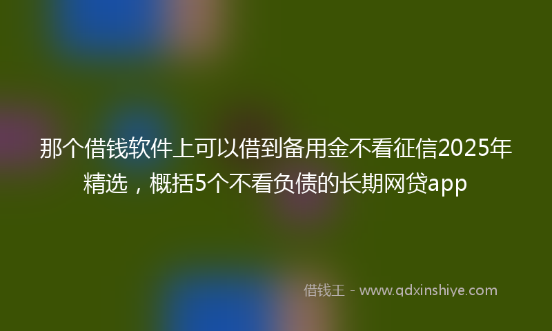 那个借钱软件上可以借到备用金不看征信2025年精选，概括5个不看负债的长期网贷app