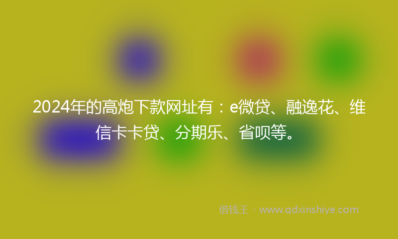 2024年的高炮下款网址有：e微贷、融逸花、维信卡卡贷、分期乐、省呗等。