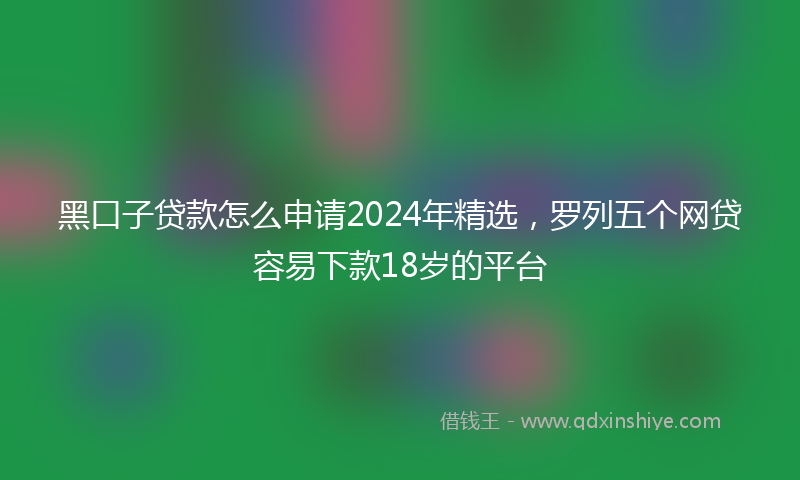 黑口子贷款怎么申请2024年精选，罗列五个网贷容易下款18岁的平台