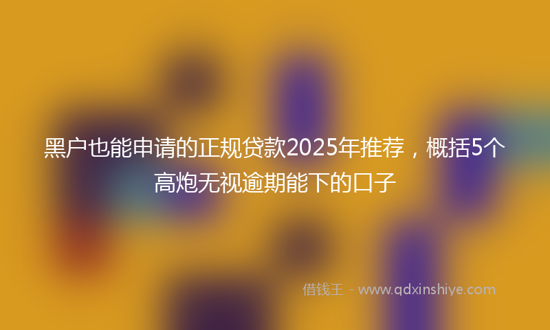 黑户也能申请的正规贷款2025年推荐，概括5个高炮无视逾期能下的口子
