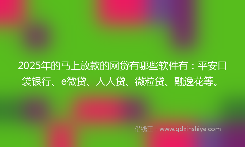 2025年的马上放款的网贷有哪些软件有：平安口袋银行、e微贷、人人贷、微粒贷、融逸花等。