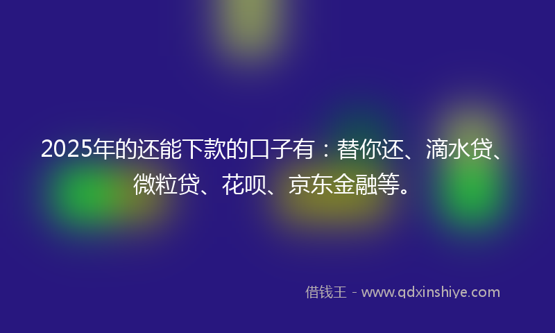 2025年的还能下款的口子有：替你还、滴水贷、微粒贷、花呗、京东金融等。