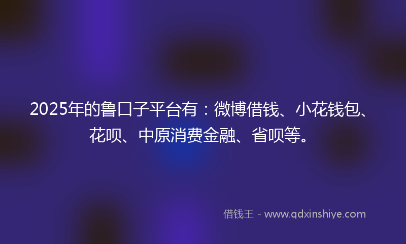 2025年的鲁口子平台有：微博借钱、小花钱包、花呗、中原消费金融、省呗等。
