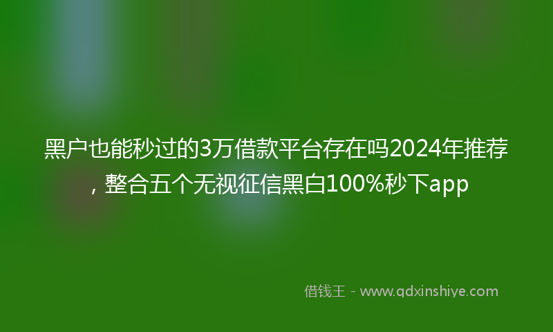 黑户也能秒过的3万借款平台存在吗2024年推荐，整合五个无视征信黑白100%秒下app